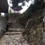 1999 Vintage Yiwu Zhen Shan Raw Sheng Pu-erh Tea