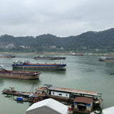 2007 Lao Liu Bao Dark Tea Hei Cha