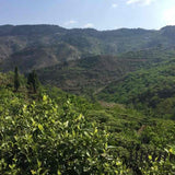 2013 Ancient Tree Raw Pu-erh Tea Mushroom-Shaped Tuo Cha