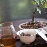 2014 Menghai Qi Zi Bing Cha Raw Pu-erh Tea