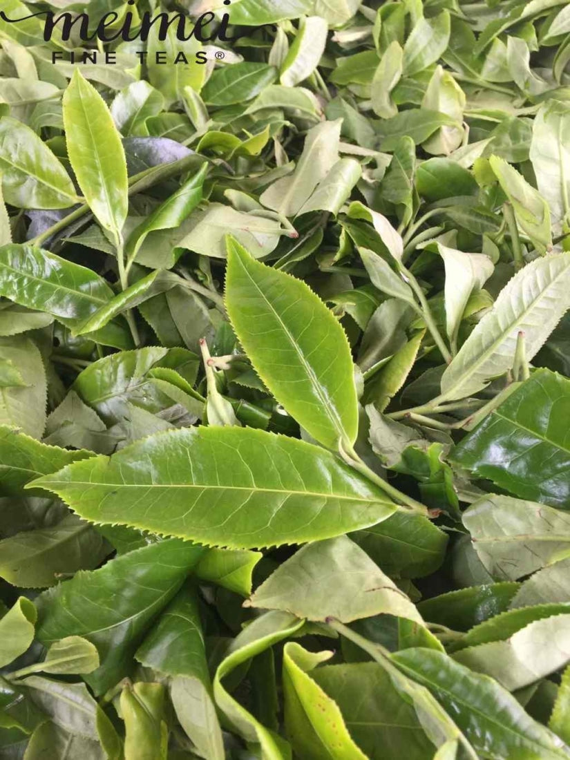 2015 Da Hu Sai Raw Pu-erh Tea Cake