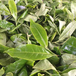 2015 Da Hu Sai Raw Pu-erh Tea Cake