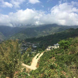 2015 Da Hu Sai Raw Pu-erh Tea Cake