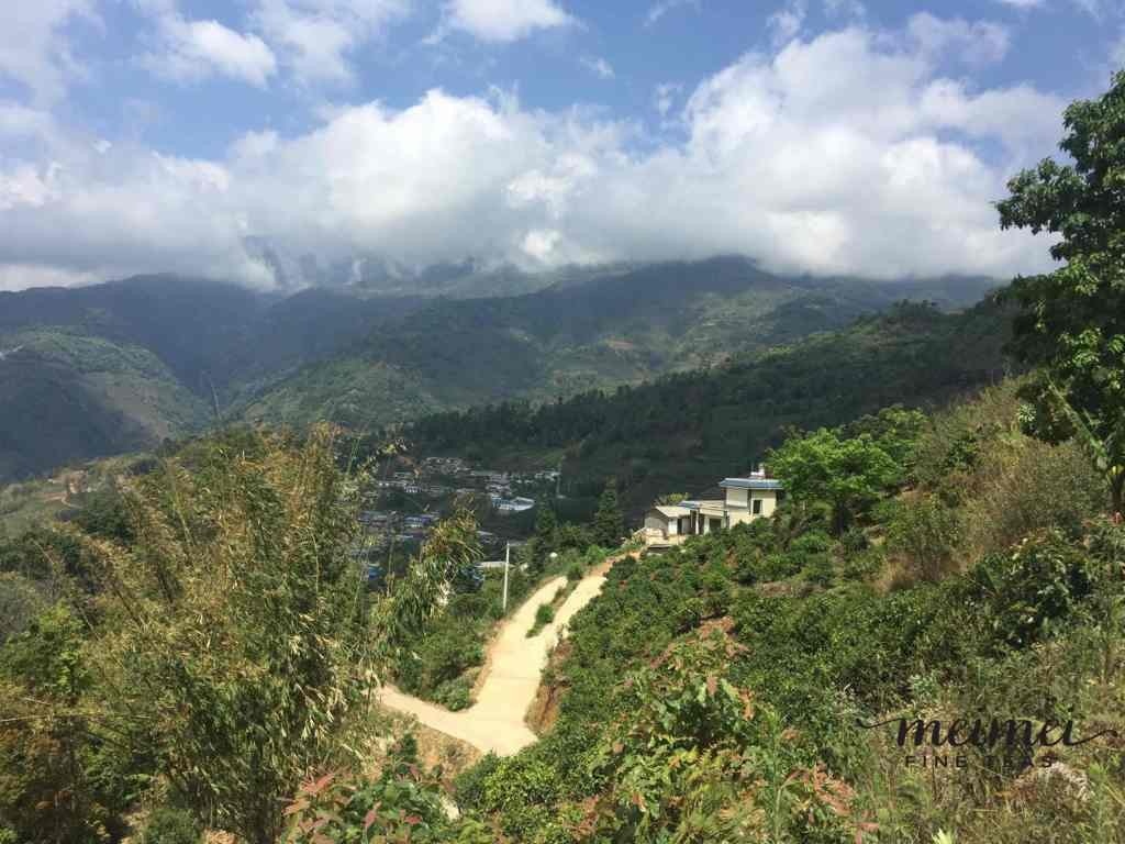 2015 Da Hu Sai Raw Pu-erh Tea Cake