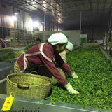 2015 Tai Hua Gu Shu Ancient Tree Raw Pu’erh Tea