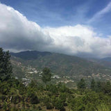 2015 Tai Hua Gu Shu Ancient Tree Raw Pu’erh Tea