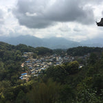 2015 Yiwu Zheng Shan Raw Sheng Pu-erh Tea Cake