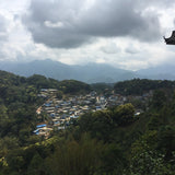 2015 Yiwu Zheng Shan Raw Sheng Pu-erh Tea Cake