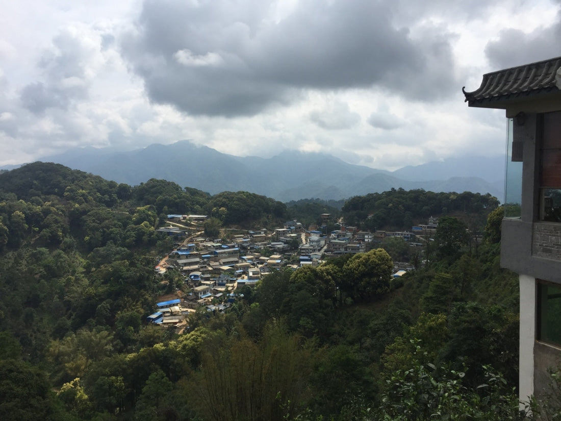 2015 Yiwu Zheng Shan Raw Sheng Pu-erh Tea Cake