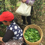 2016 Authentic Bing Dao Arbor Tree Raw Pu-erh Tea Dragon Balls