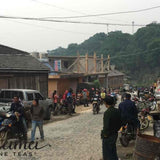 2016 Jingmai Ancient Tree Gushu Loose Leaf Mao Cha Raw Pu-erh Tea