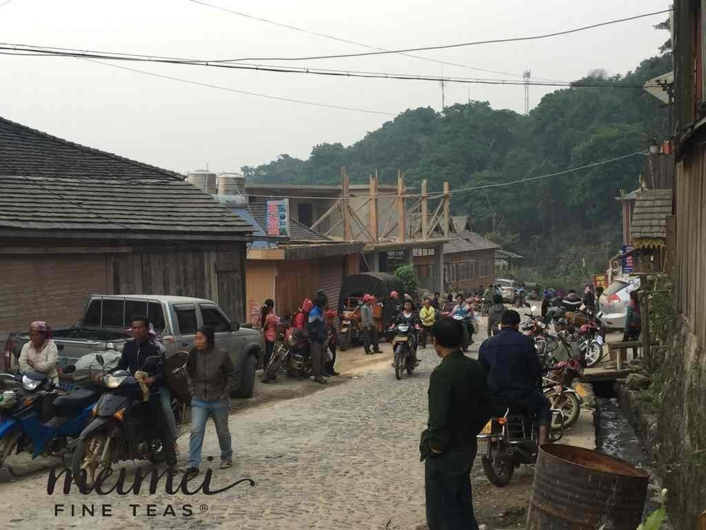 2016 Jingmai Ancient Tree Gushu Loose Leaf Mao Cha Raw Pu-erh Tea