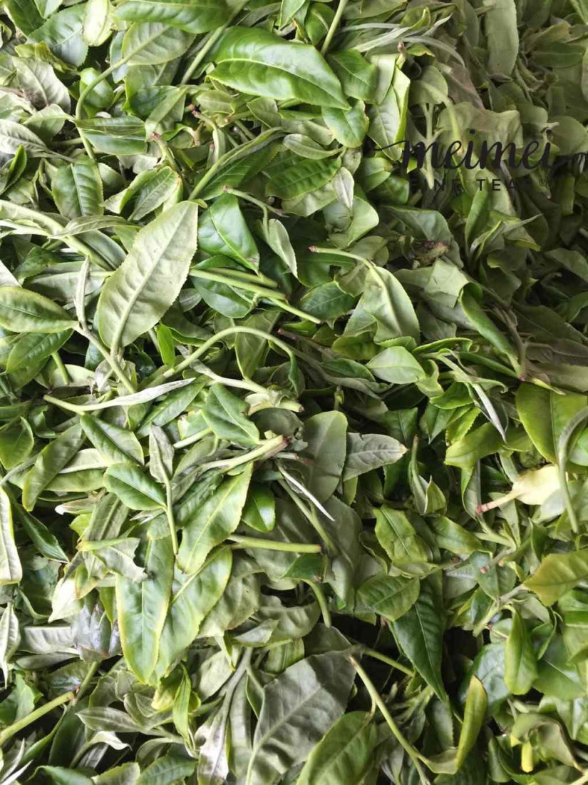 2017 Ba Nuo Ancient Tree Gu Shu Raw Pu-erh Tea Cake