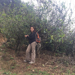 2017 Ba Nuo Ancient Tree Gu Shu Raw Pu-erh Tea Cake