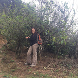 2017 Ba Nuo Ancient Tree Gu Shu Raw Pu-erh Tea Cake