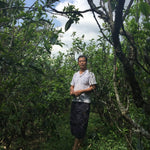 2017 Ba Nuo Ancient Tree Gu Shu Raw Pu-erh Tea Cake