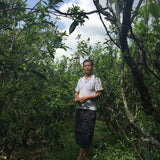 2017 Ba Nuo Ancient Tree Gu Shu Raw Pu-erh Tea Cake