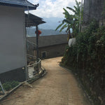 2017 Confidant Raw Pu-erh Tea Mini Cakes Big Snow Mountain