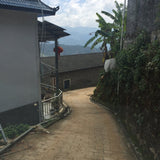 2017 Confidant Raw Pu-erh Tea Mini Cakes Big Snow Mountain