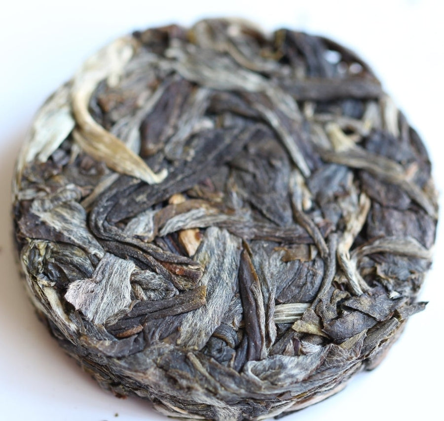 Pu-erh Tea - 2017 Confidant Big Snow Mountain Raw Pu-erh Tea Mini