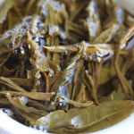 2017 Confidant Raw Pu-erh Tea Mini Cakes Big Snow Mountain