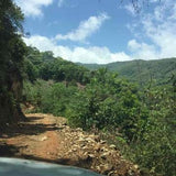 2017 Tao of Tea Da Xue Shan Arbor Tree Sheng Pu-erh Tea