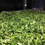 2017 Tao of Tea Xiao Hu Sai Arbor Tree Sheng Pu-erh Cake