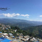 2017 Tao of Tea Xiao Hu Sai Arbor Tree Sheng Pu-erh Cake