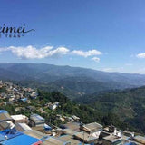 2017 Tao of Tea Xiao Hu Sai Arbor Tree Sheng Pu-erh Cake