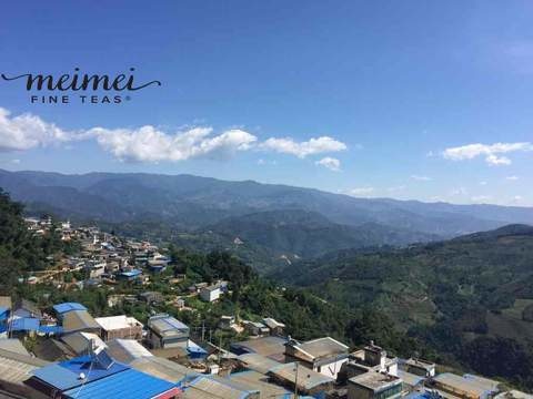 2017 Tao of Tea Xiao Hu Sai Arbor Tree Sheng Pu-erh Cake