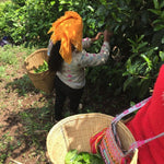 2017 Yunnan Xiao Hu Sai Ancient Tree Gushu Raw Pu-erh Tea