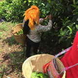 2017 Yunnan Xiao Hu Sai Ancient Tree Gushu Raw Pu-erh Tea