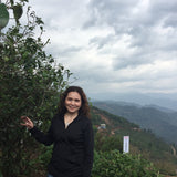 2017 Yunnan Xiao Hu Sai Ancient Tree Gushu Raw Pu-erh Tea