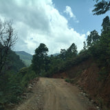 2017 Yunnan Xiao Hu Sai Ancient Tree Gushu Raw Pu-erh Tea