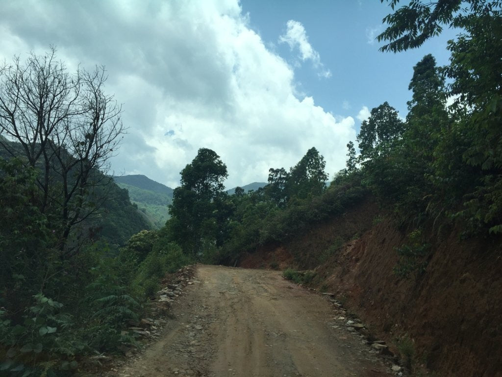2017 Yunnan Xiao Hu Sai Ancient Tree Gushu Raw Pu-erh Tea