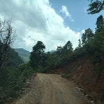 2017 Yunnan Xiao Hu Sai Arbor Tree Raw Pu-erh Tea Cake