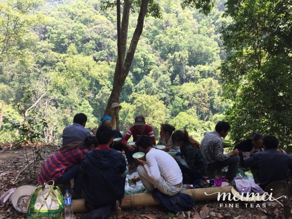 2018 Prestigious Bai Cha Yuan Ancient Tree Raw Pu-erh Tea
