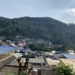 2018 Prestigious Bai Cha Yuan Ancient Tree Raw Pu-erh Tea