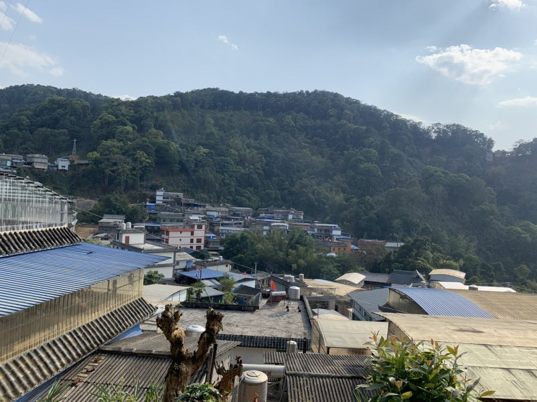 2018 Prestigious Bai Cha Yuan Ancient Tree Raw Pu-erh Tea