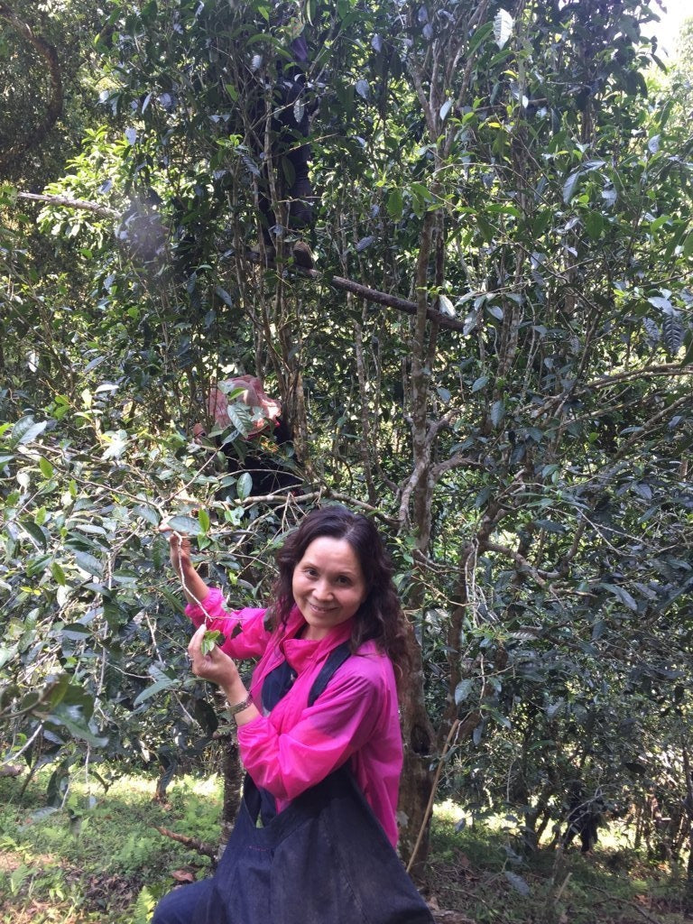 2018 Prestigious Bai Cha Yuan Ancient Tree Raw Pu-erh Tea