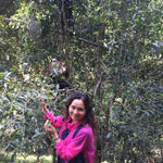 2018 Prestigious Bai Cha Yuan Ancient Tree Raw Pu-erh Tea