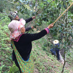 2018 Prestigious Bai Cha Yuan Ancient Tree Raw Pu-erh Tea