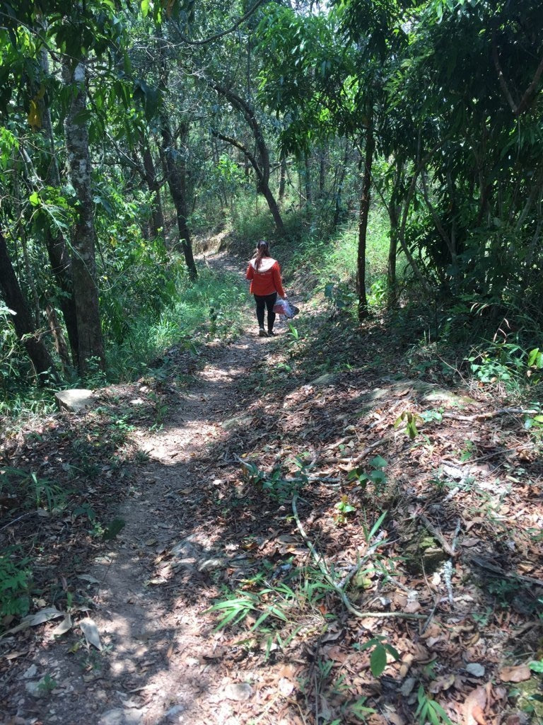 2018 Prestigious Bai Cha Yuan Ancient Tree Raw Pu-erh Tea