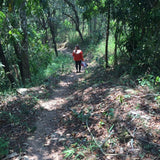 2018 Prestigious Bai Cha Yuan Ancient Tree Raw Pu-erh Tea