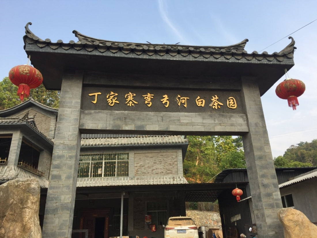 2018 Prestigious Bai Cha Yuan Ancient Tree Raw Pu-erh Tea