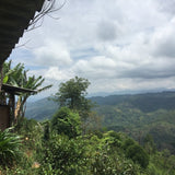 2018 Luo Shui Dong Village Arbor Tree Sheng Pu-erh Tea