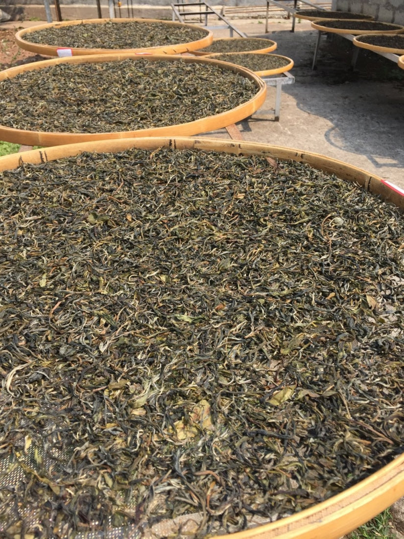 2018 Luo Shui Dong Village Arbor Tree Sheng Pu-erh Tea