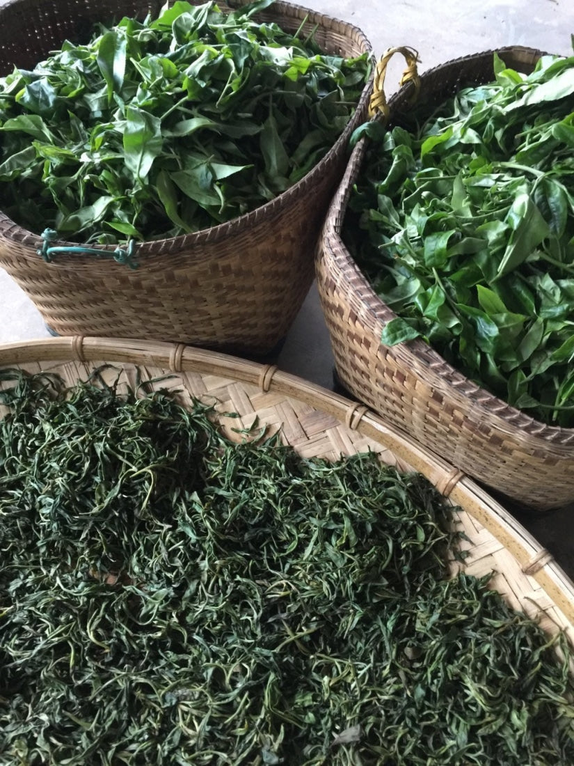 2018 Luo Shui Dong Village Arbor Tree Sheng Pu-erh Tea