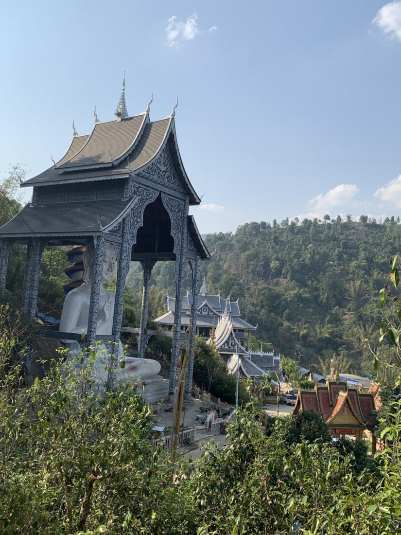 2019 Lao Man E Ancient Tree Sheng Raw Pu’erh Tea Cake