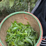 2019 Lao Man E Ancient Tree Sheng Raw Pu’erh Tea Cake